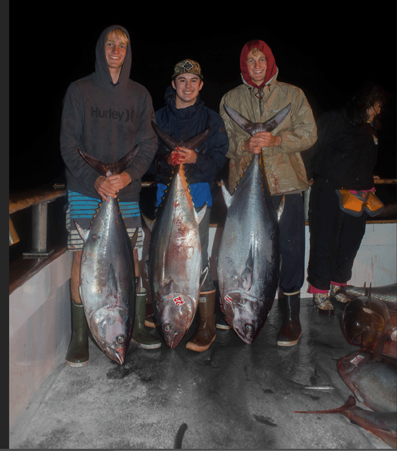 Bluefin Tuna  Fishing on the O95 			        By: Kyle Farmer
