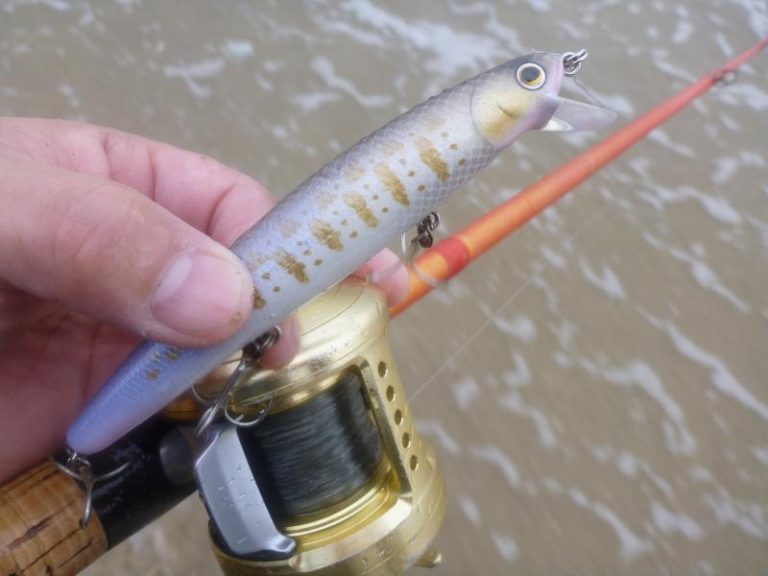 Rods, Rigs and Baits for Catching Halibut in the Surf Fish Taco Chronicles