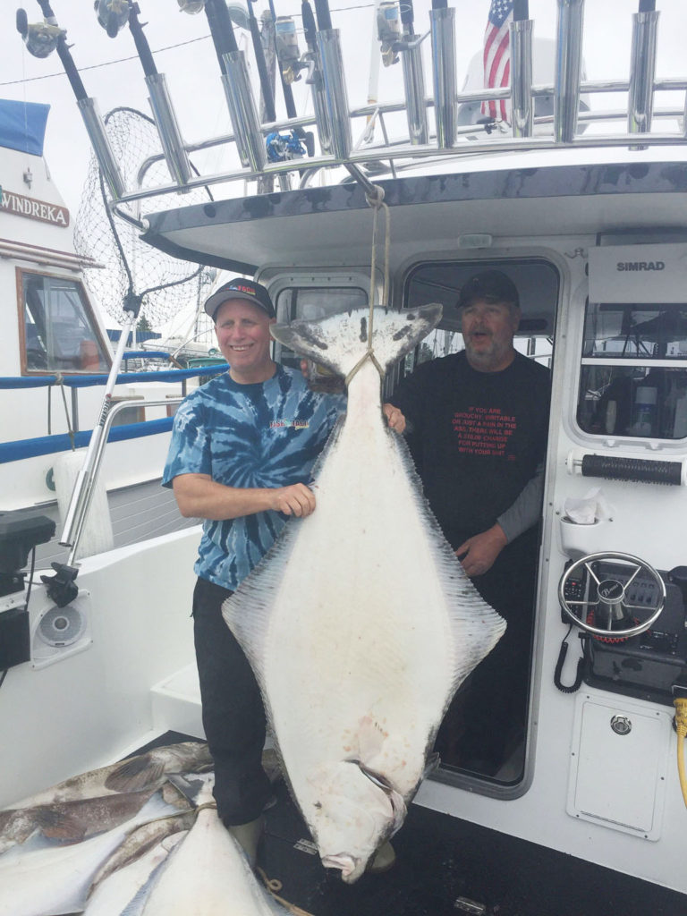 Just For the Halibut, By Shawn Arnold Fish Taco Chronicles